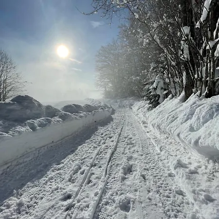 Gorjuska Rozamunda Bohinjska Bistrica