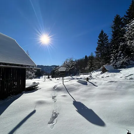 Gorjuska Rozamunda Feriehus