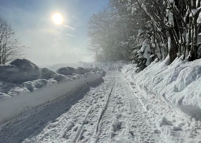 Gorjuska Rozamunda Bohinjska Bistrica